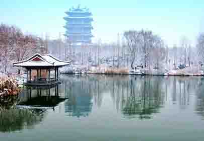 冬天，做個(gè)溫暖的人，努力向陽(yáng)生長(zhǎng)
